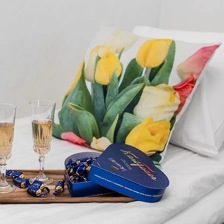 Appartement Borg Wellamo *